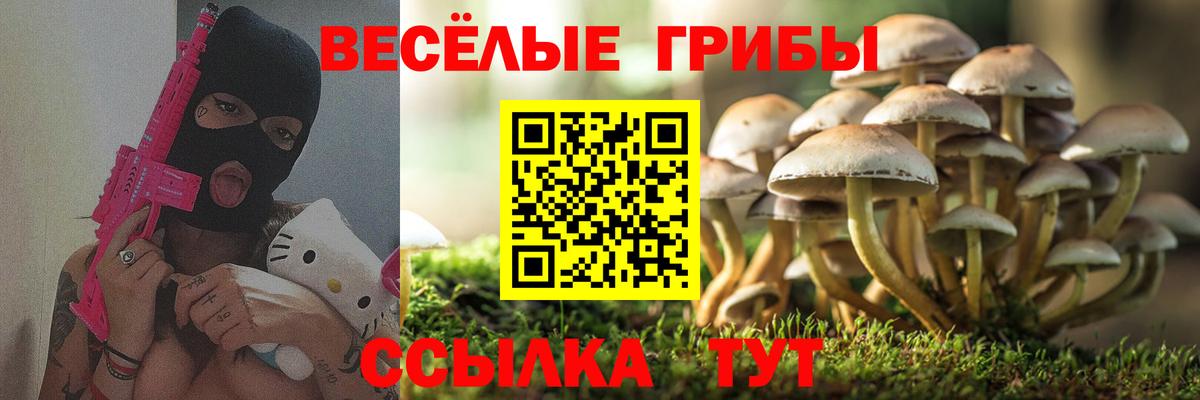 Рузаевка  Псилоцибиновые грибы GOLDEN TEACHER  где купить наркотик  Вход с VPN 